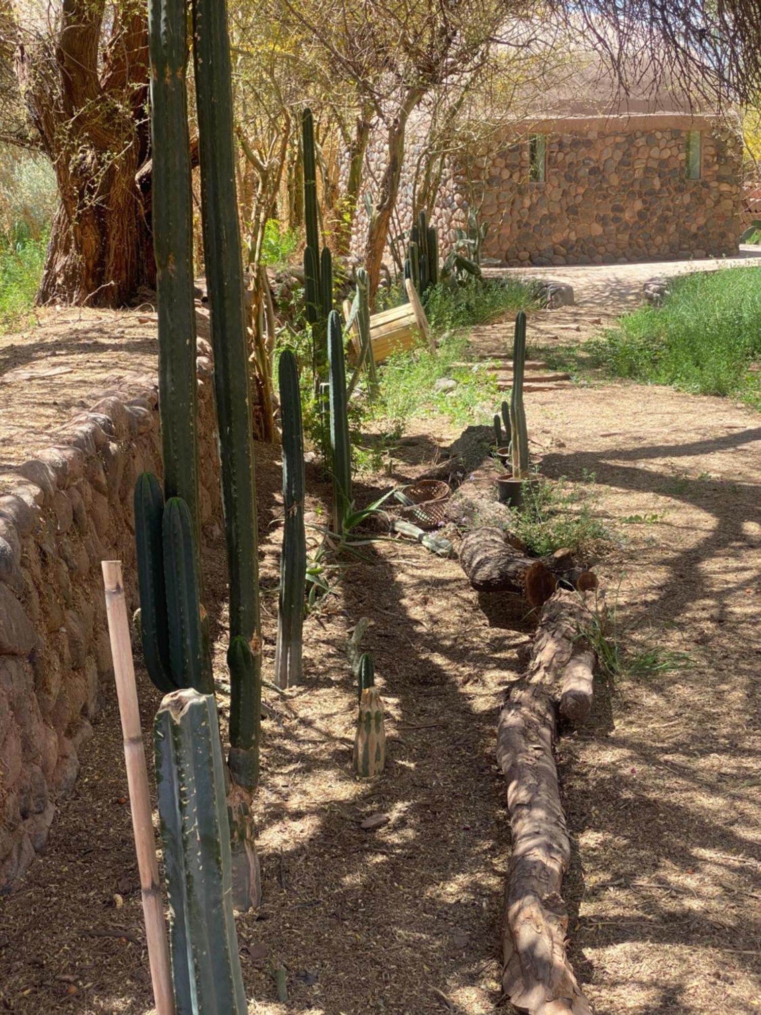 Casa Luna San Pedro de Atacama Ngoại thất bức ảnh