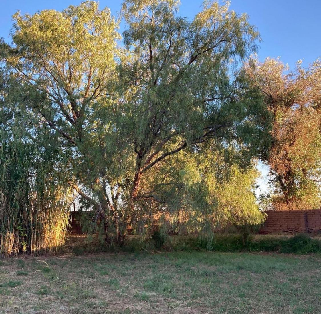 Casa Luna San Pedro de Atacama Ngoại thất bức ảnh